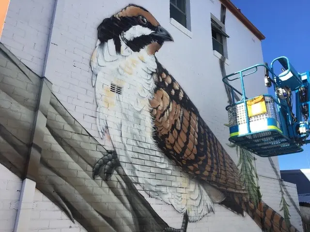 A mural of a bird on a house wall.