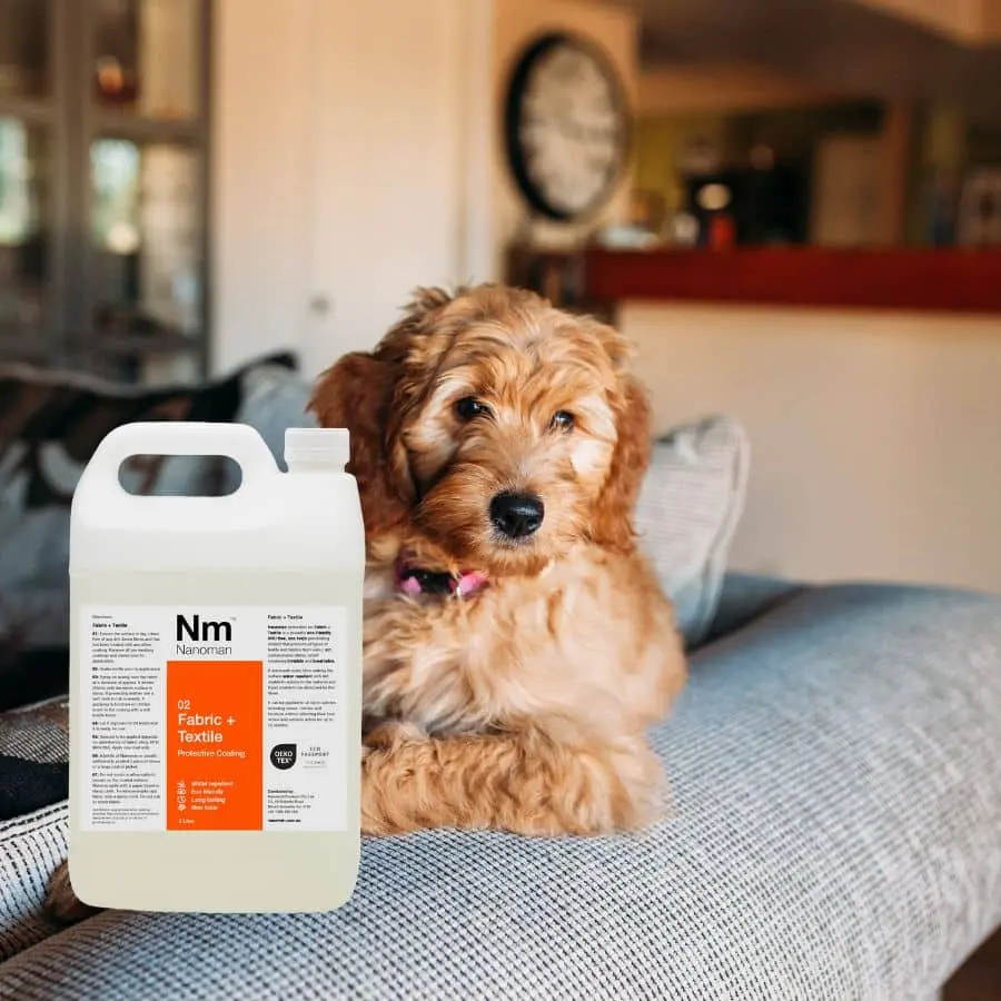 Fabric Waterproofing Spray beside a sofa with a dog on it