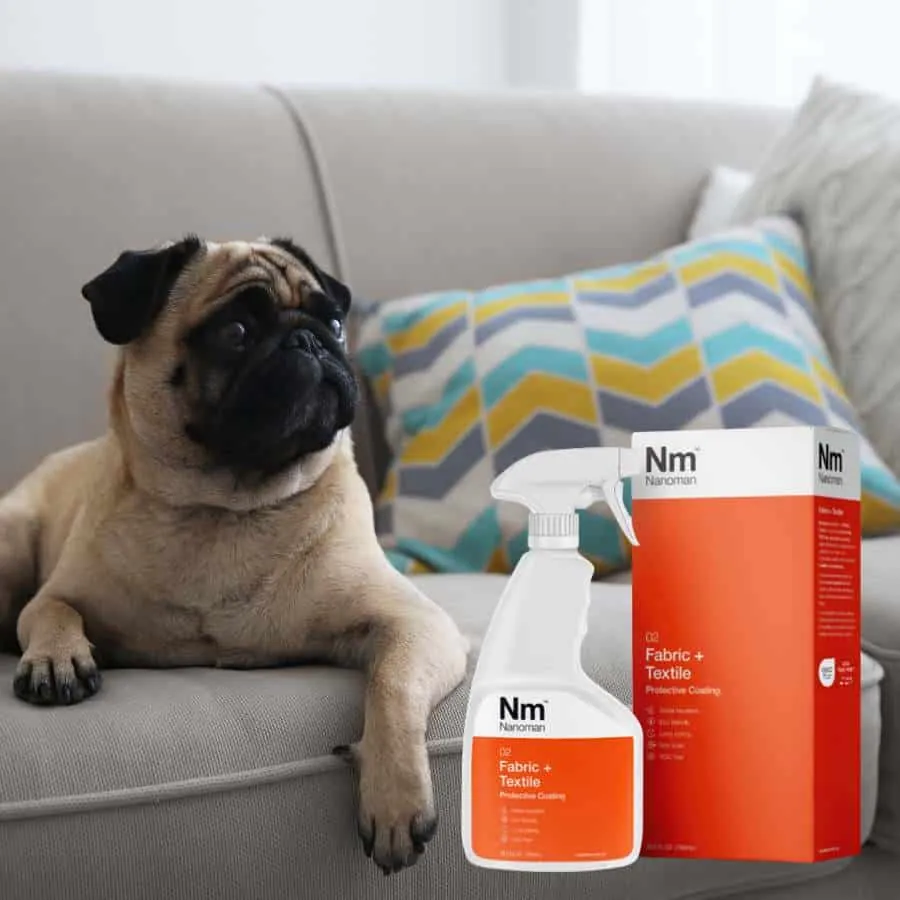 Fabric Waterproofing Spray beside a dog on a fabric sofa